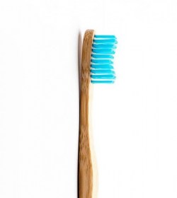 adult-blue