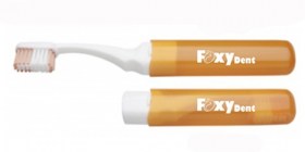 foxydent_travel_orange