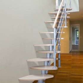 lesnisa_tokay_modern2